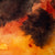 Cloud II™ Volley Short - Tortoise