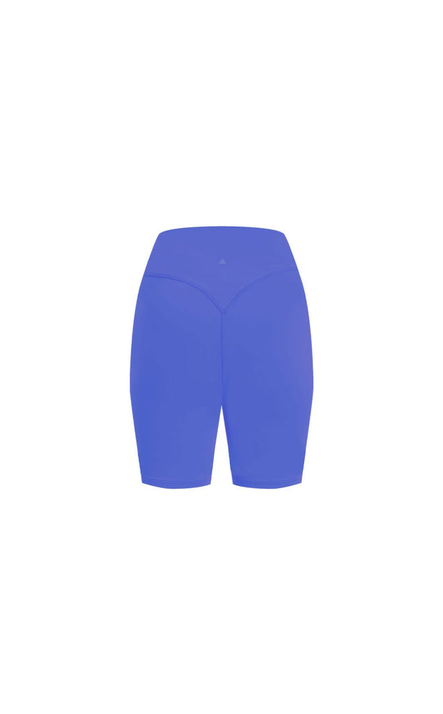 Blue Gym Shorts & Cycling Shorts